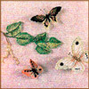 Вышивка «Бабочки» - www.tambour.ru